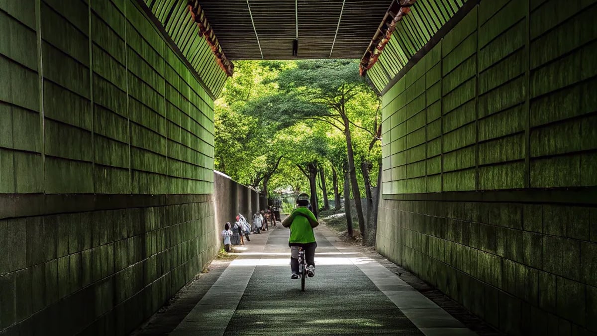 Exploring Seoul by Bike: Routes, Cafés & Culture Stops