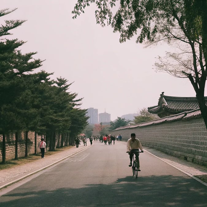 Exploring Seoul by Bike: Routes, Cafés & Culture Stops