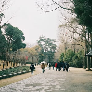 What 30 Minutes of Walking Really Does for You